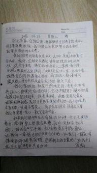 娱乐圈吃瓜作文800字,揭秘明星背后的故事